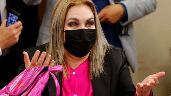 Pamela Jiles pidió perdón por rechazo de retiro: 