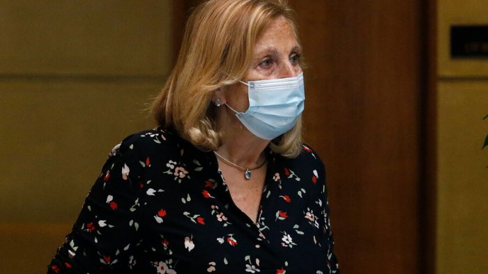 Diputada Helia Molina y presunta colusión en precios de alimentos: 