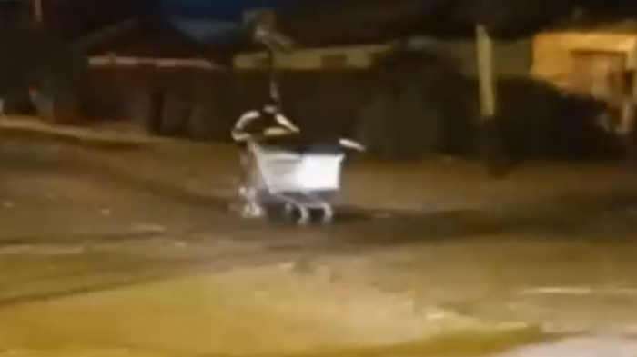 Registran masivo saqueo a supermercado en Talagante