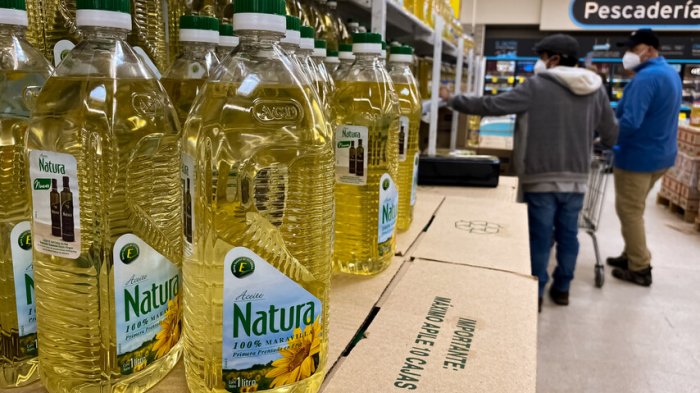 Alza en el costo de la vida: ¿La clase media califica para recibir ayudas económicas?