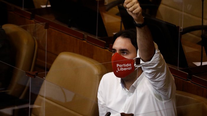 Diputado Mirosevic anuncia reforma constitucional que prorrogaría en 3 meses el trabajo de la CC