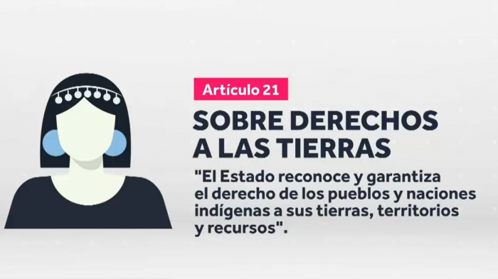 Aprobado en la CC: ¿Qué dice el artículo sobre el derecho de los pueblos indígenas a sus tierras?