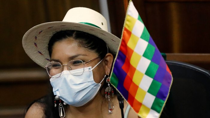 Columna de la constituyente Isabella Mamani: Nuestra identidad territorial