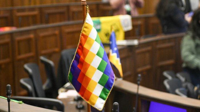 Pleno de la Convención rechazó todos los artículos propuestos por la Comisión de Pueblos Indígenas