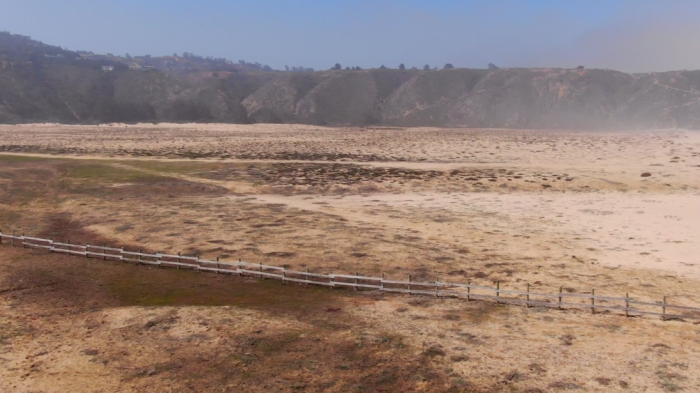 Polémica por venta de parcelas al interior del Parque Nacional Puyehue