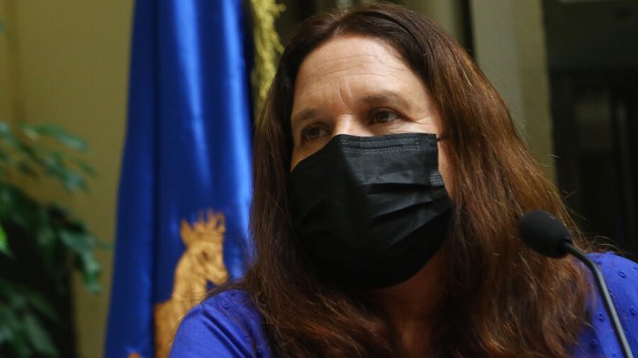 Vehículo robado a la ministra Maya Fernández fue recuperado en Peñalolén: Estaba abandonado en la vía pública