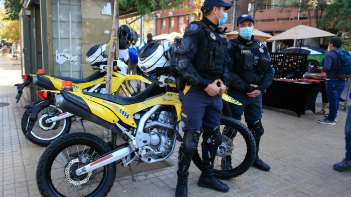 Gobierno responde por idea de dotar a guardias comunales: “Las policías con sus tareas, los municipios con sus tareas”