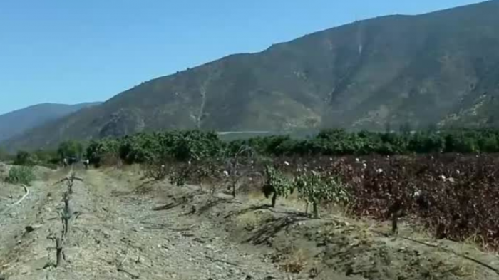 Alerta Climática: La sequía presenta cifras alarmantes para las reservas de agua subterráneas