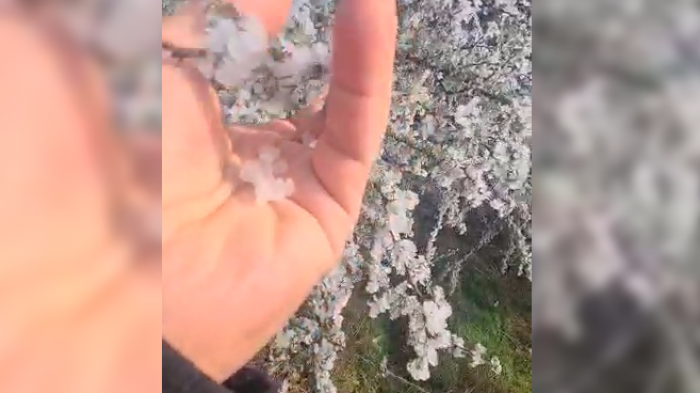 ¿Qué es la niebla engelante? Peligrosa escarcha congeló vastos sectores de Chile