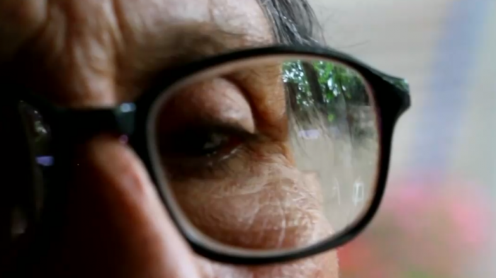 A través de los ojos: Científicos chilenos descubren nueva manera de diagnosticar el Alzheimer