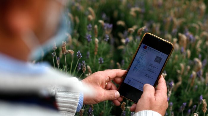 5 pasos para saber si tienes el Pase de Movilidad bloqueado