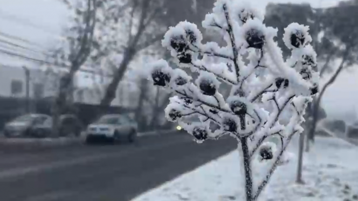 Nieve: Un leve alivio contra la megasequía