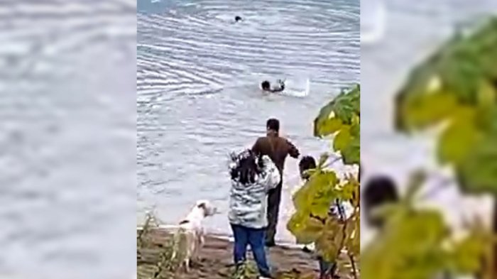 Vecino rescata a niña y a carabinero de aguas congeladas en Aysén: 