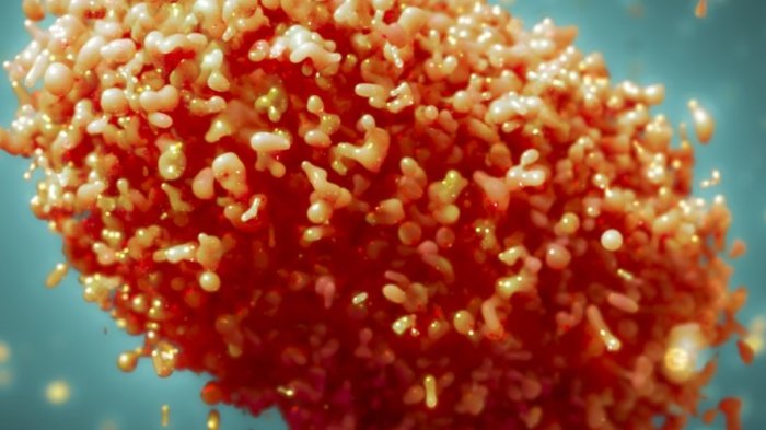 Reino Unido es el país con más contagios: La OMS eleva a 780 los casos globales de viruela del mono