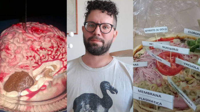 ¿Tortas con forma de cerebro? La creativa manera en que un profesor enseña ciencias a sus alumnos