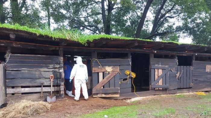Tras 24 años desaparecida: Hombre confiesa asesinato de su esposa y hallan osamentas en Osorno