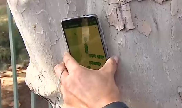 Chips cuidan el estado de salud de árboles en la RM: Busca prevenir caídas en invierno