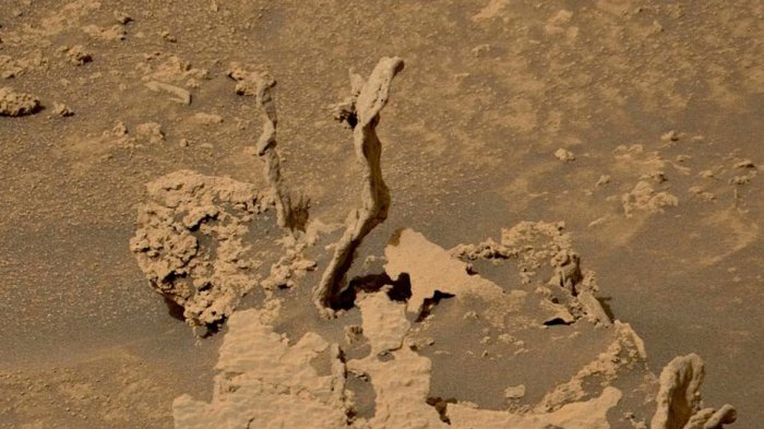 ¿Hay árboles en Marte? Revelan foto con dos particulares estructuras en la superficie del planeta rojo