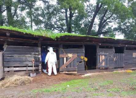 ¿Por qué mi hijita tuvo que morir así?: El relato de los padres de mujer asesinada hace 24 años en Osorno