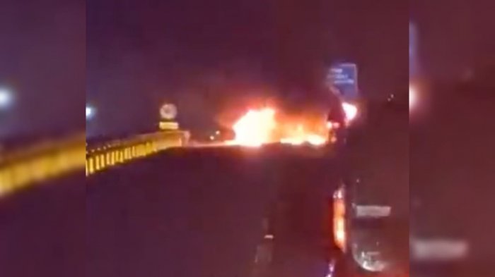 Reportan múltiples cortes de ruta en La Araucanía: Árboles son utilizados como barricadas