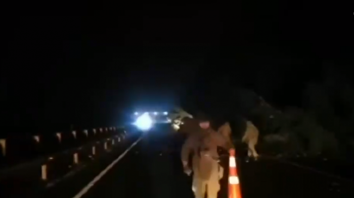 La Araucanía: Diversos cortes interrumpieron el tránsito en Ruta 5 Sur