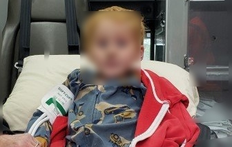 Niño de 3 años perdido en bosque de EE.UU. sobrevivió a bajas temperaturas y tormenta eléctrica