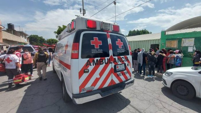 Estudiantes de primaria se habrían intoxicado con cannabis en México: Un niño la llevó en un contenedor