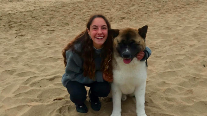 Joven denuncia que vecino mató a su perro de un disparo en Pirque: 