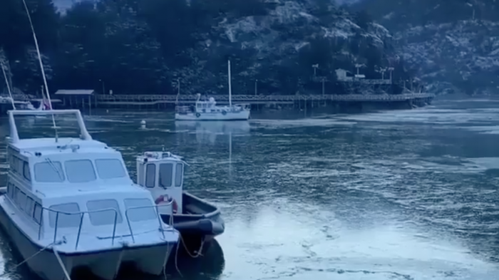 ¿Cómo fue posible? El mar se congeló en la bahía de Caleta Tortel