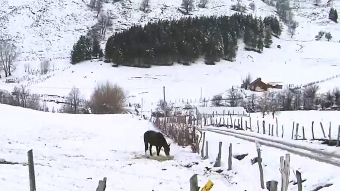 Más de 1.500 personas se encuentran aisladas en Lonquimay tras intensas nevazones