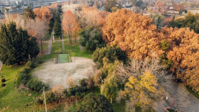 ¡Más árboles, menos cemento! Descubre los 7 principales beneficios del arbolado en las ciudades