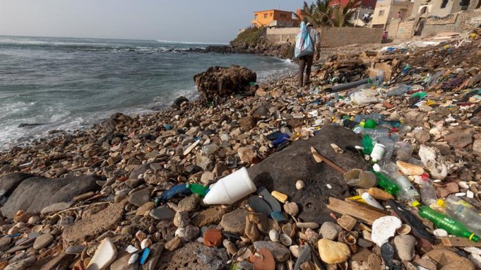 Alerta climática: ¿Sabías que cada semana consumes el plástico equivalente a una tarjeta Bip?