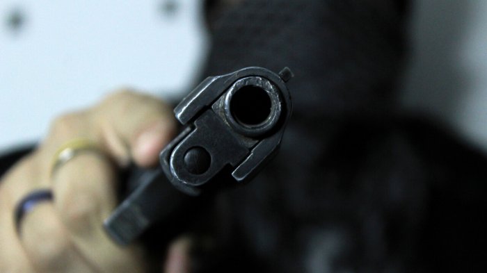 Prohibición de armas a civiles: ¿Qué ha pasado con la propuesta tras el anuncio?