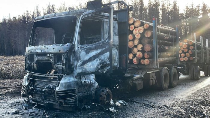 Nuevo ataque incendiario en La Araucanía: Al menos cinco camiones fueron quemados en un fundo de Collipulli