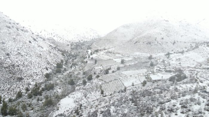 Zonas rurales de Illapel afectadas por la sequía amanecieron cubiertas de blanco tras sistema frontal