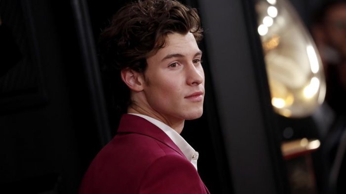 Shawn Mendes pospone gira por problemas de salud mental: 