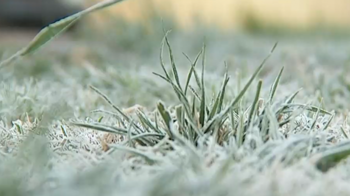 Además de nevadas y lluvias: Meteorología emite advertencia por heladas de hasta -5° en siete regiones
