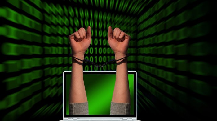 Pedofilia internacional: Acogen extradición de chileno a EE.UU. acusado de producir pornografía infantil