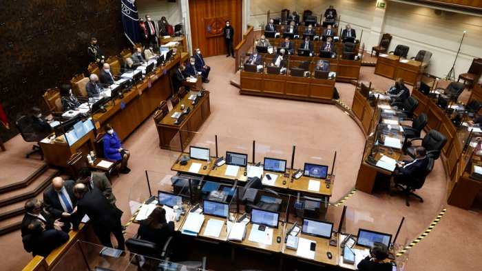 Senado aprobó Bono de Invierno y extensión del permiso de posnatal parental