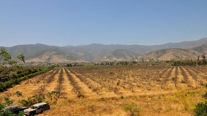Ministerio de Agricultura ordenó restringir venta de parcelas de agrado: 