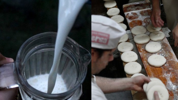 Columna del doctor Héctor Gajardo: Vitamina D para todos