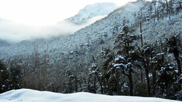 NASA comparte imagen satelital de la nevazón en Chile: Este es el antes y el después del sistema frontal
