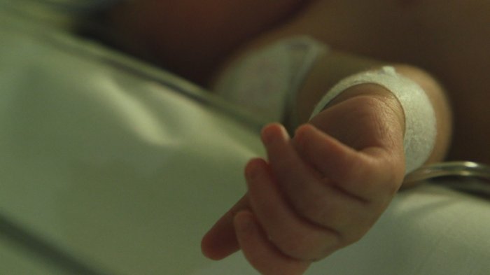 Preocupantes cifras: En 2021, 29 niños fallecieron por impactos de bala