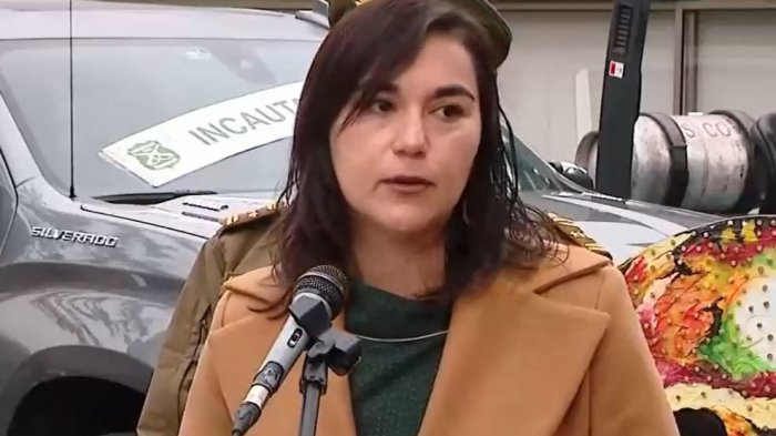 Izkia Siches y llamado de Llaitul por 