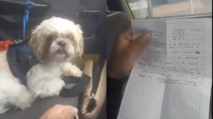 Perrito fue abandonado en taxi en Colombia: Dueños dejaron hasta instrucciones para su cuidado