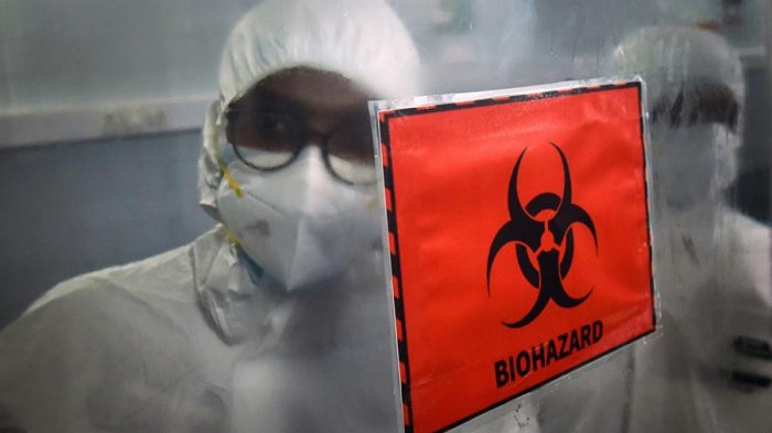 Confirman la primera muerte por viruela del mono en Brasil