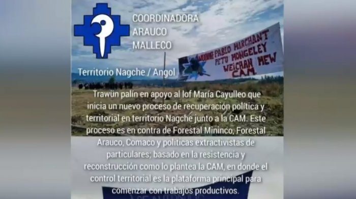 Coordinadora Arauco Malleco reconoce nueva toma de 7 predios en la comuna de Angol
