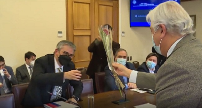 Con boleta incluida: Diputado Jaime Naranjo le regaló rosas a Mario Marcel tras polémica compra a ambulante