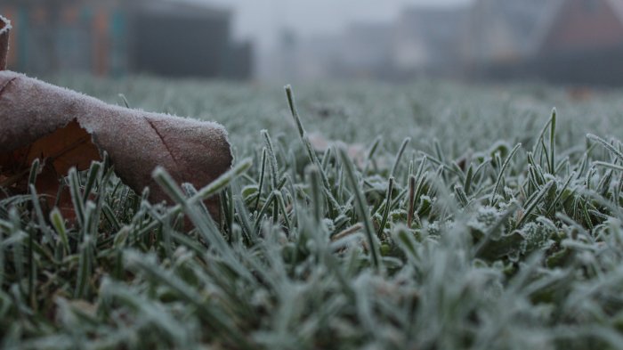 ¿De dónde salió la famosa frase 