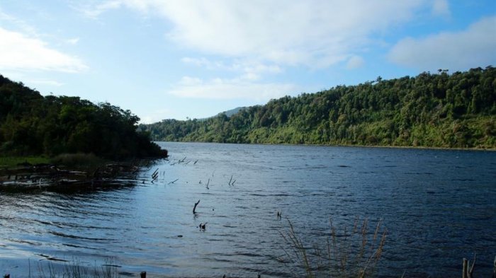 Crean cuatro santuarios naturales en Chiloé, zona de reposo para ballenas